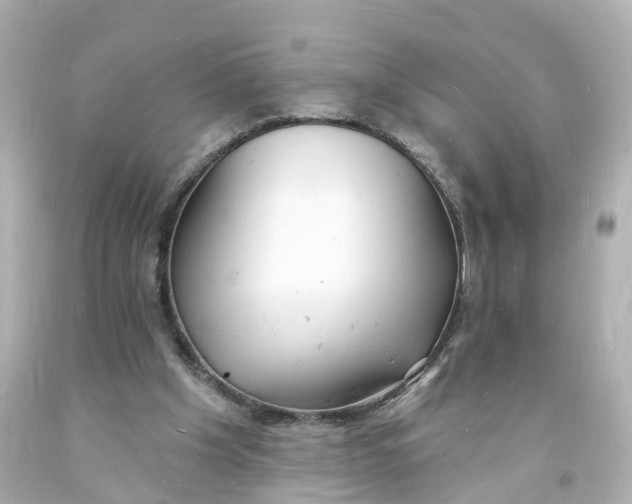 X0000093600201200711051205