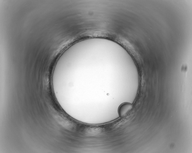 X0000093600202200711051205