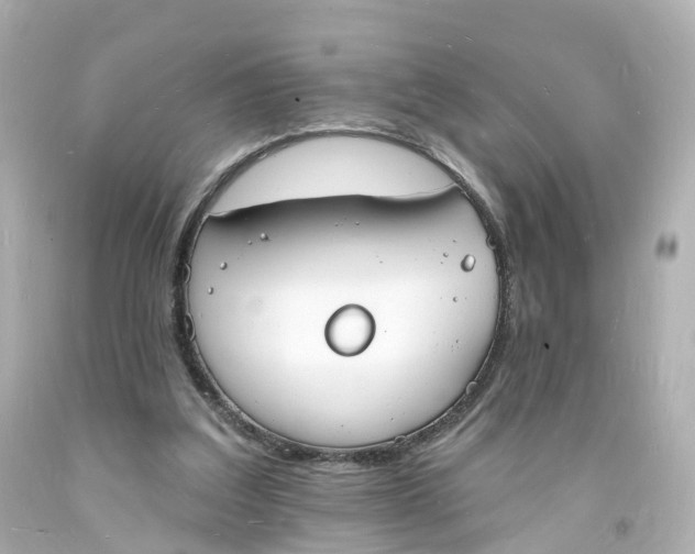 X0000093600203200711051205