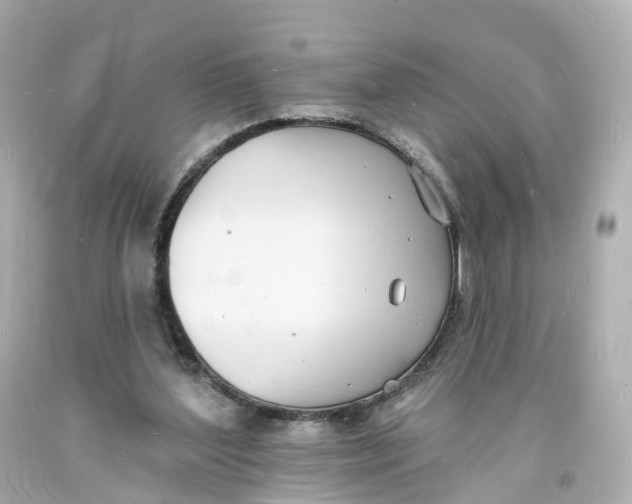 X0000093600204200711051205