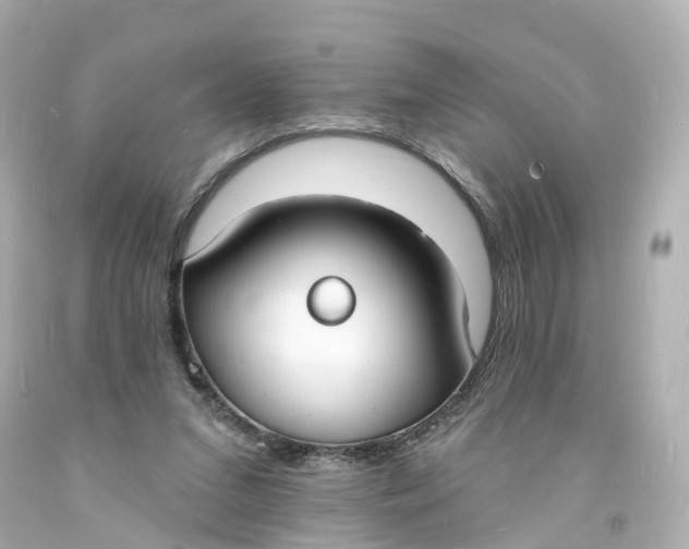 X0000093600207200711051205