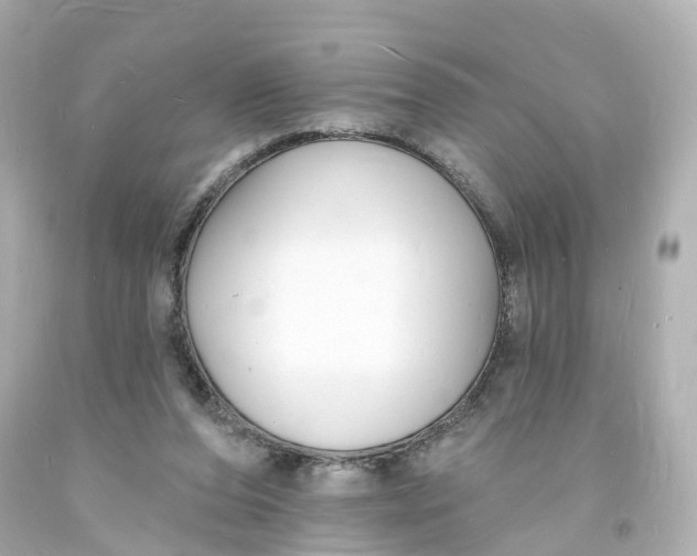 X0000093600208200711051205