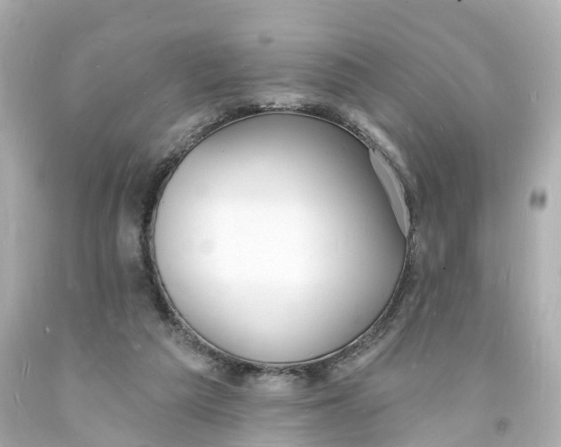 X0000093600209200711051205