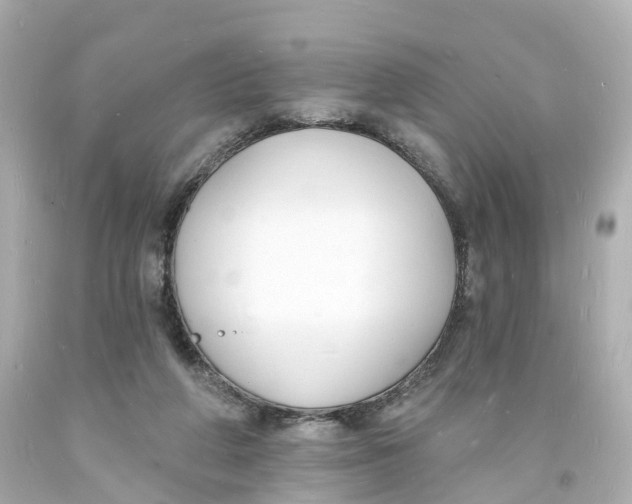 X0000093600210200711051205