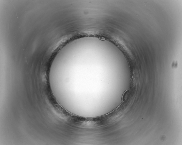 X0000093600212200711051205