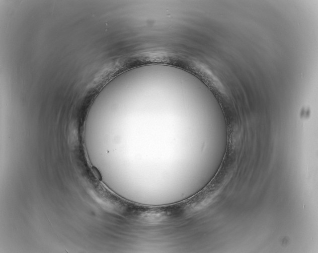 X0000093600213200711051205