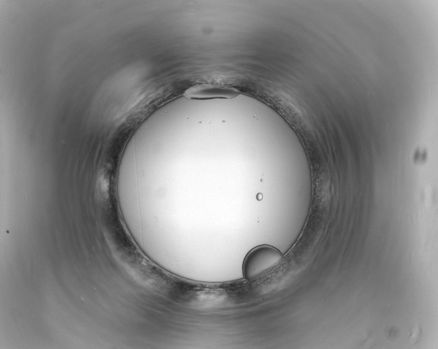 X0000093600214200711051205