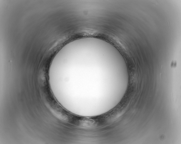 X0000093600215200711051205