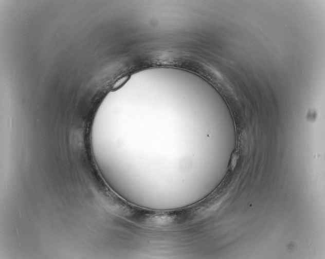 X0000093600217200711051205