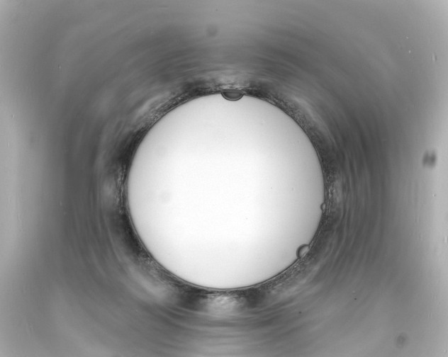 X0000093600218200711051205