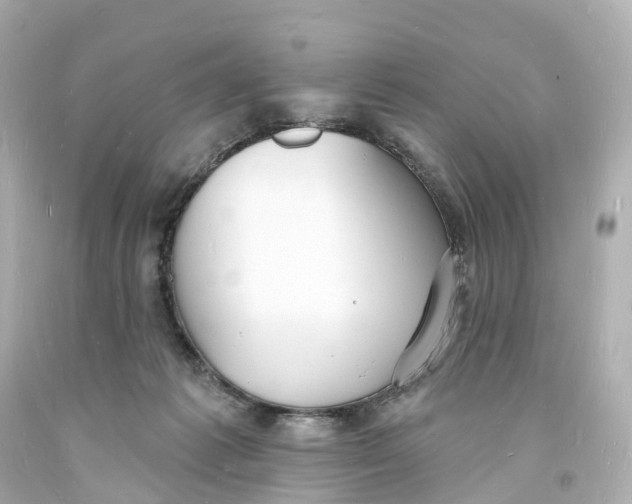 X0000093600221200711051205