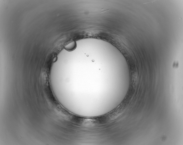 X0000093600222200711051205