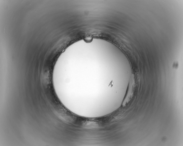 X0000093600224200711051205