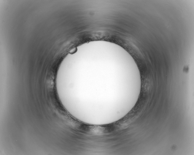 X0000093600226200711051205