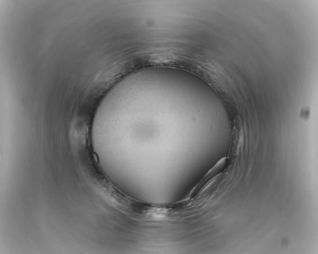 X0000093600227200711051205