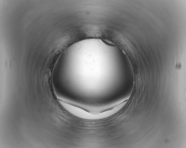 X0000093600229200711051205