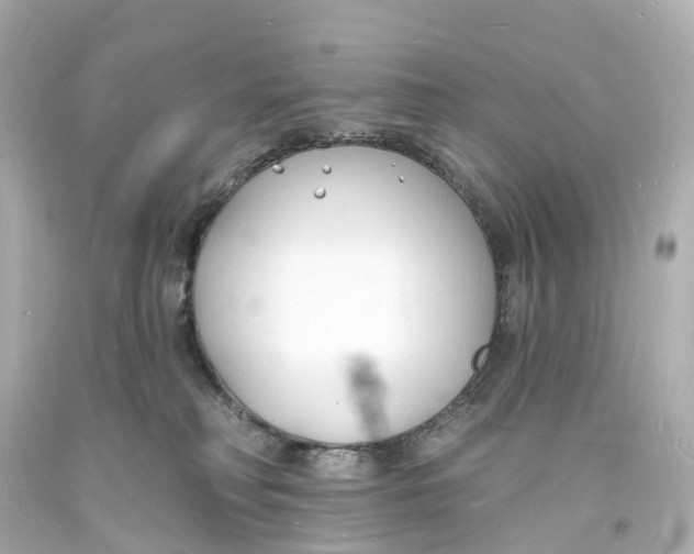 X0000093600230200711051205