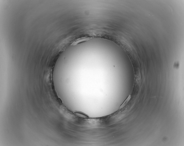 X0000093600233200711051205