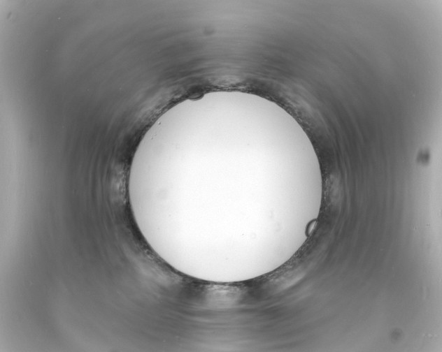 X0000093600234200711051205