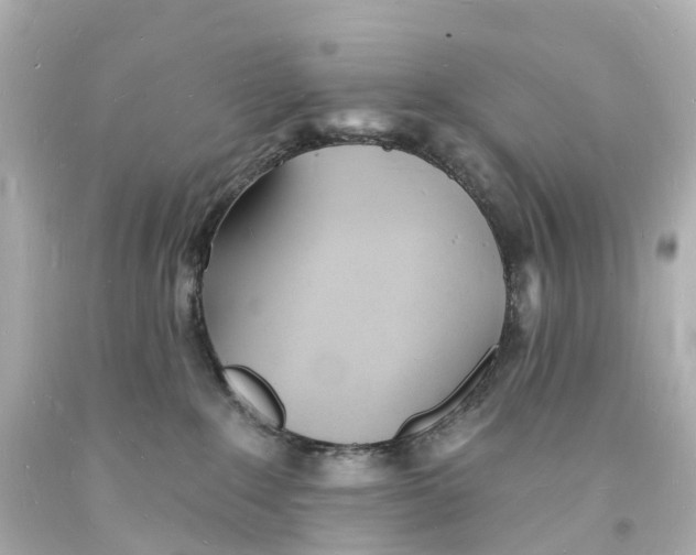 X0000093600235200711051205