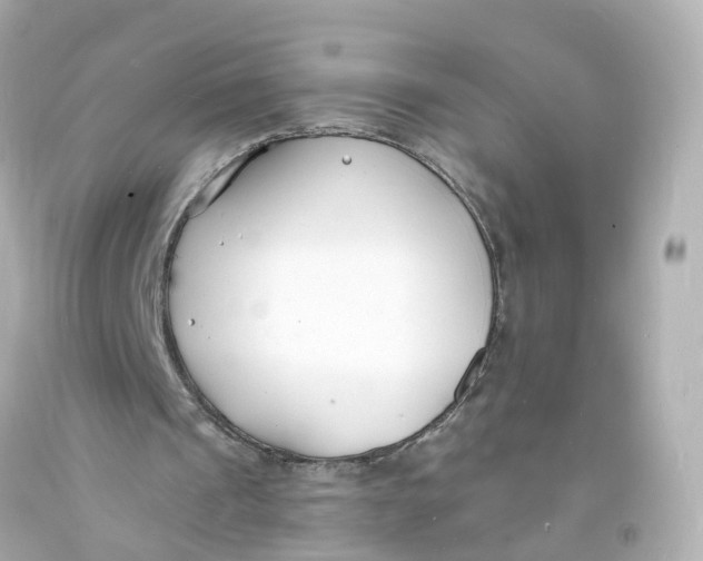 X0000093600241200711051204