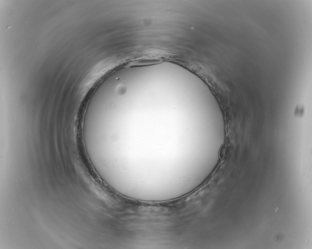 X0000093600242200711051204