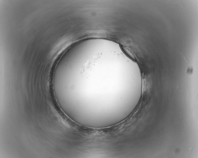 X0000093600243200711051204