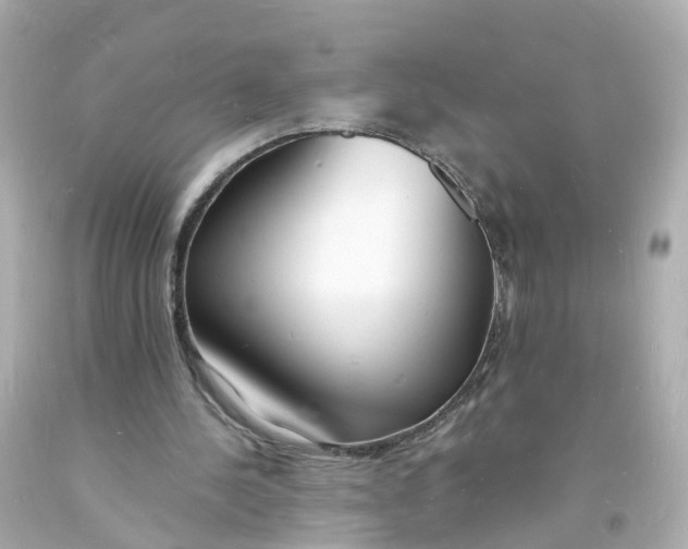 X0000093600244200711051204