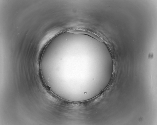 X0000093600245200711051204