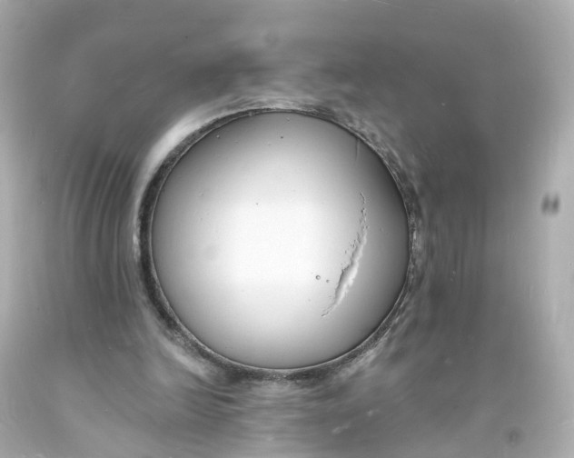 X0000093600246200711051204