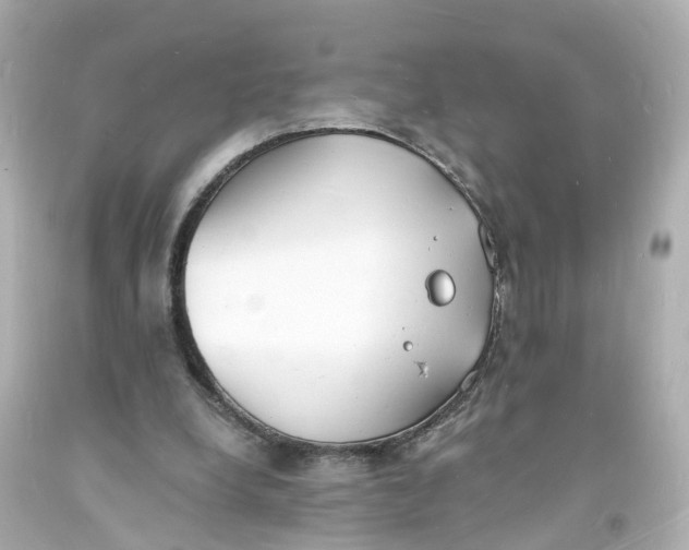 X0000093600248200711051204