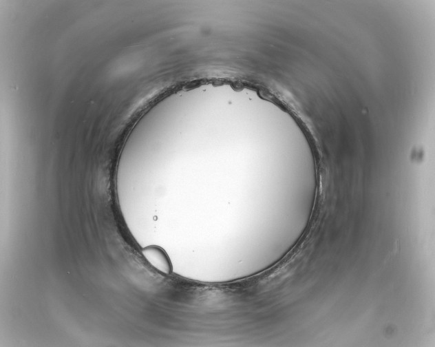 X0000093600249200711051204