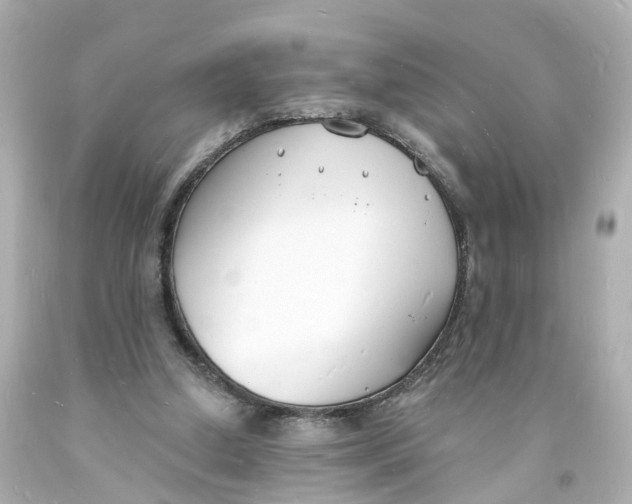 X0000093600250200711051204