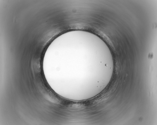 X0000093600251200711051204