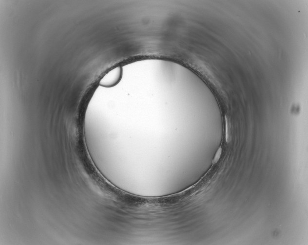 X0000093600252200711051204