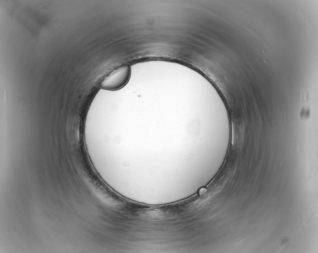 X0000093600253200711051204