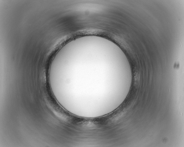 X0000093600254200711051204