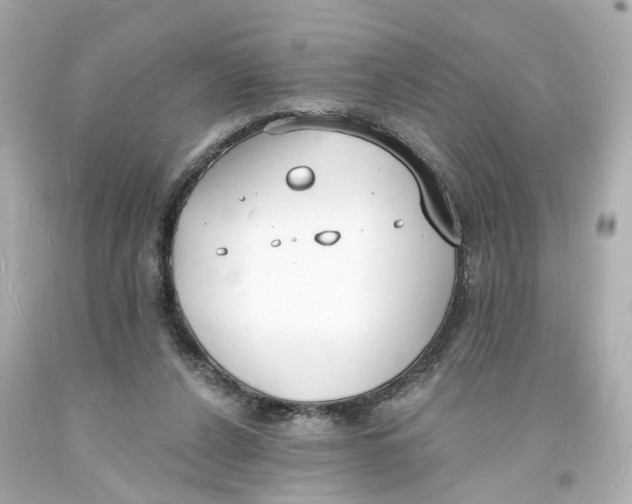 X0000093600256200711051204