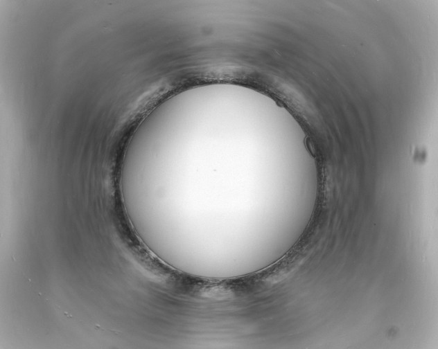 X0000093600258200711051204