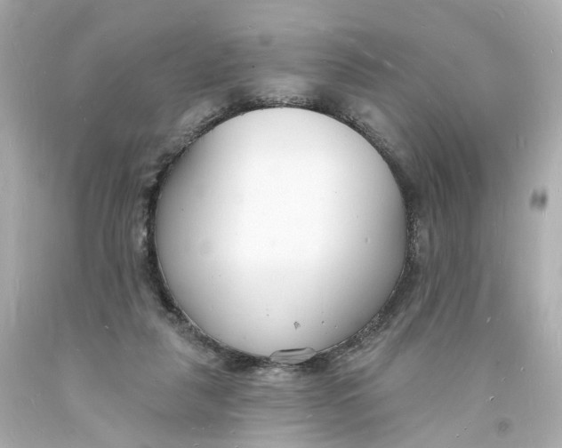 X0000093600259200711051204