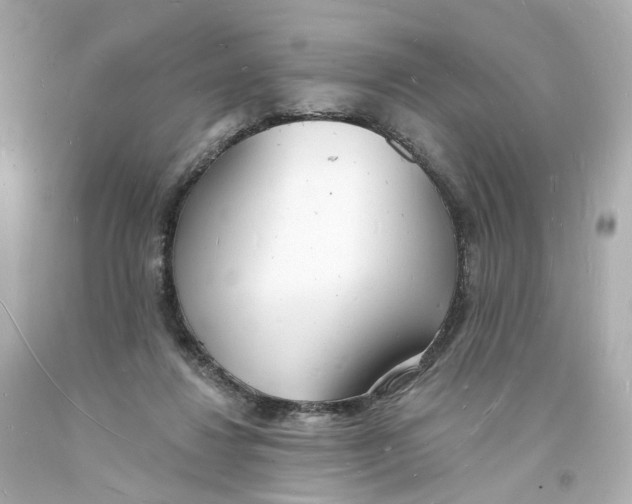 X0000093600260200711051204