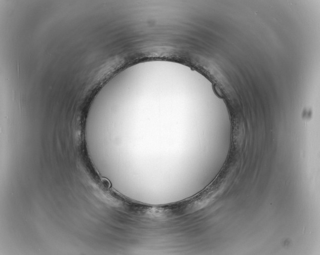 X0000093600261200711051204