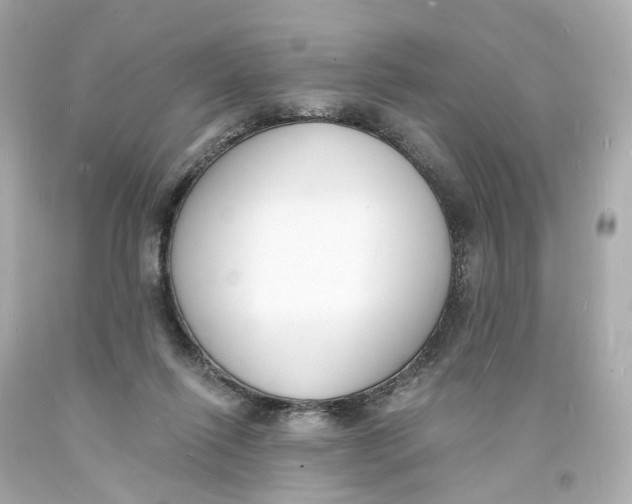 X0000093600262200711051204