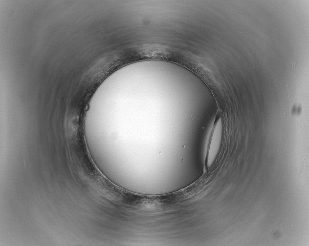 X0000093600263200711051204