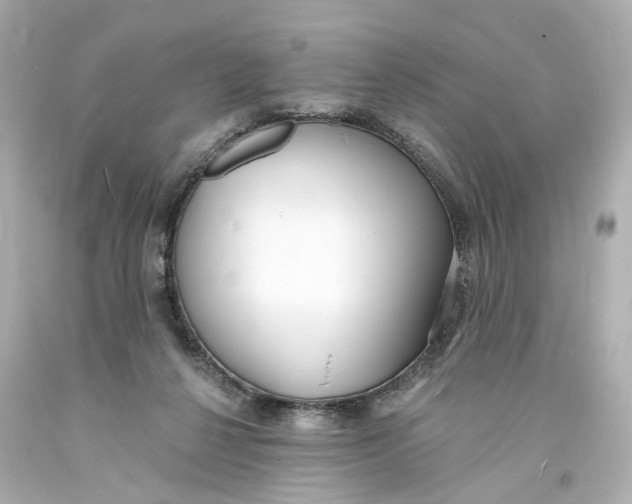 X0000093600264200711051204