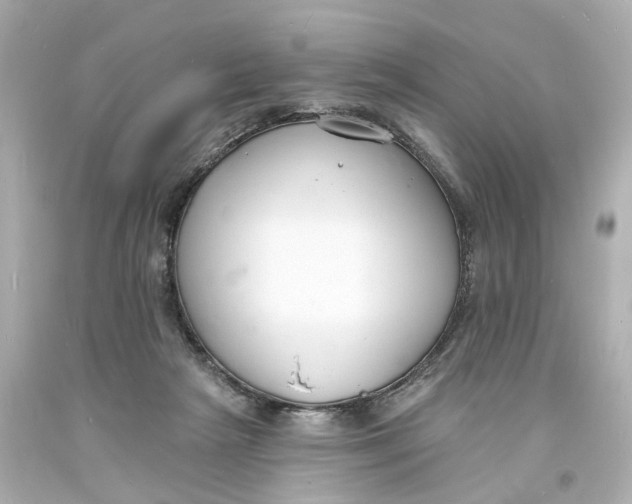 X0000093600265200711051204