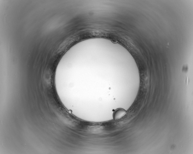 X0000093600266200711051204