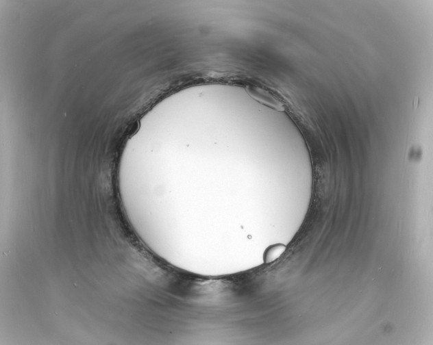 X0000093600269200711051204