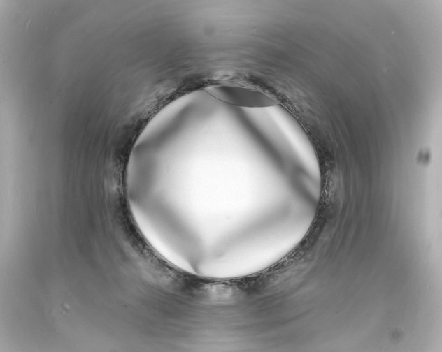 X0000093600272200711051204