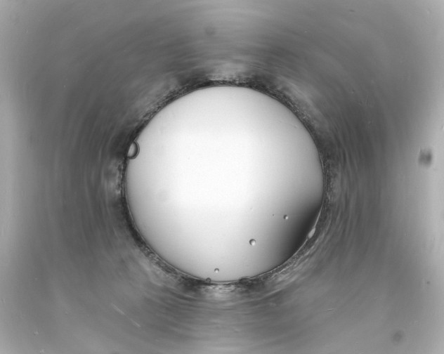 X0000093600273200711051204